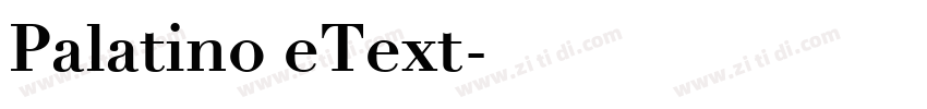 Palatino eText字体转换 Palatino eText字体转换